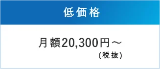 低価格：月額20,300円～(税抜)